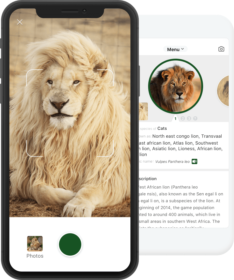 this is a product img