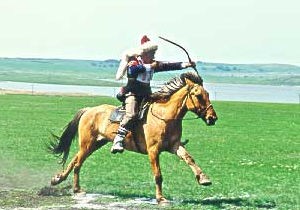 Bashkir Horse (Bashkir Horse)
