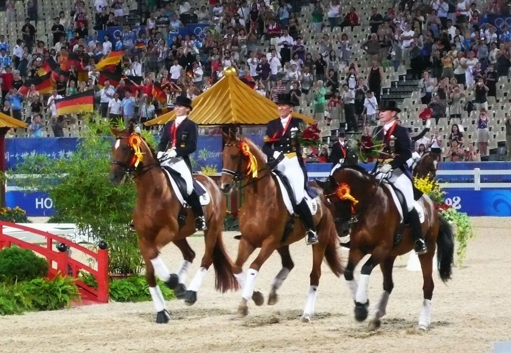 Hanoverian Horse (Hanoverian Horse)