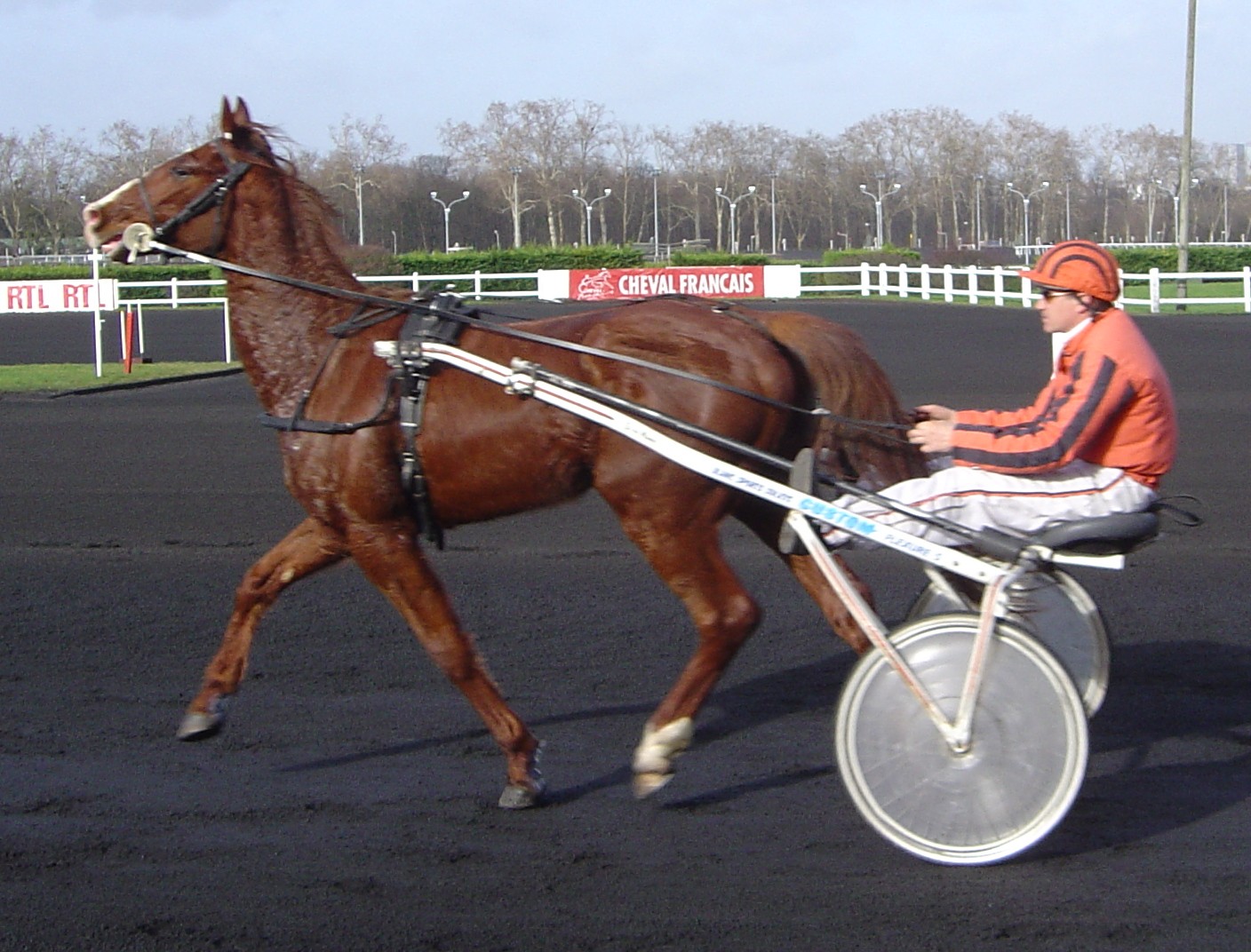 French Trotter (French Trotter)