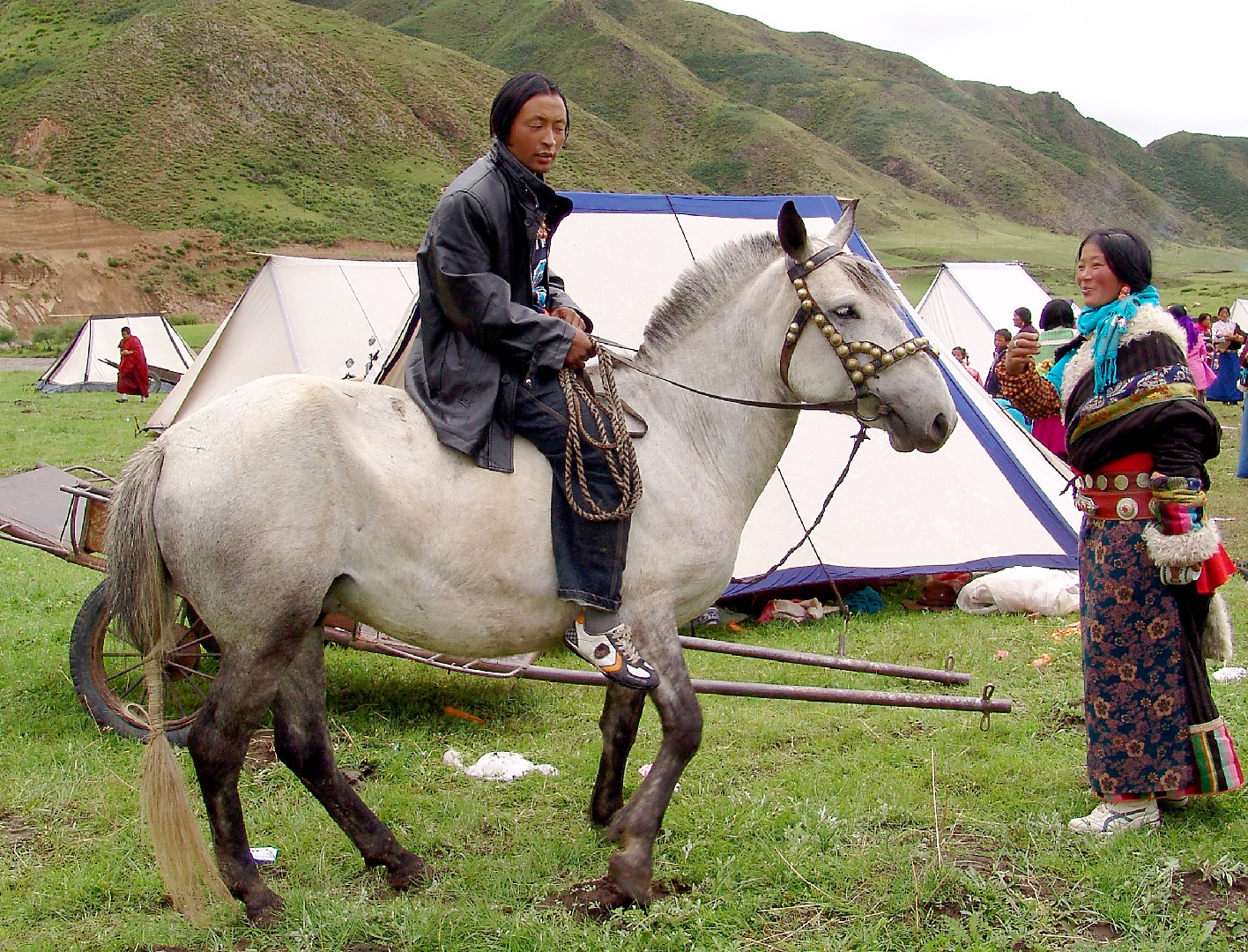 Hequ Horse (Hequ Horse)