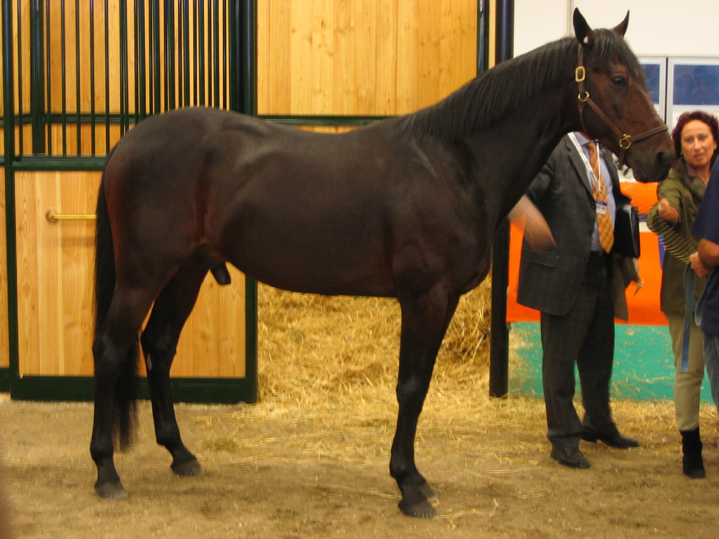 Italian Trotter (Italian Trotter)