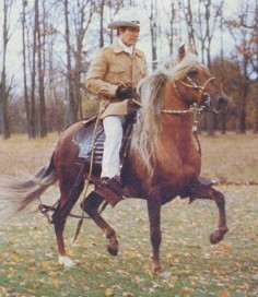 Peruvian Paso (Peruvian Paso)