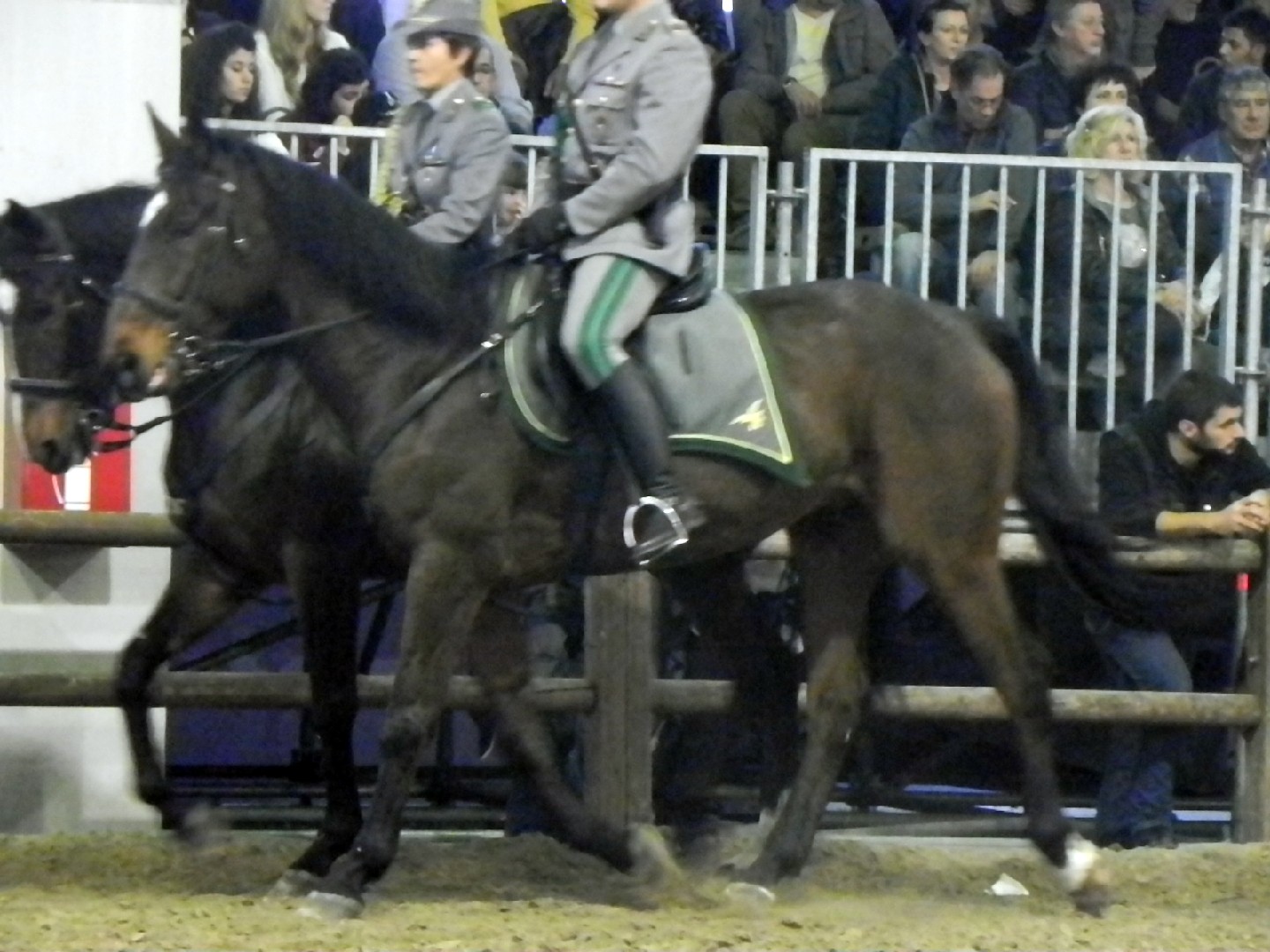 Persano Horse (Persano Horse)