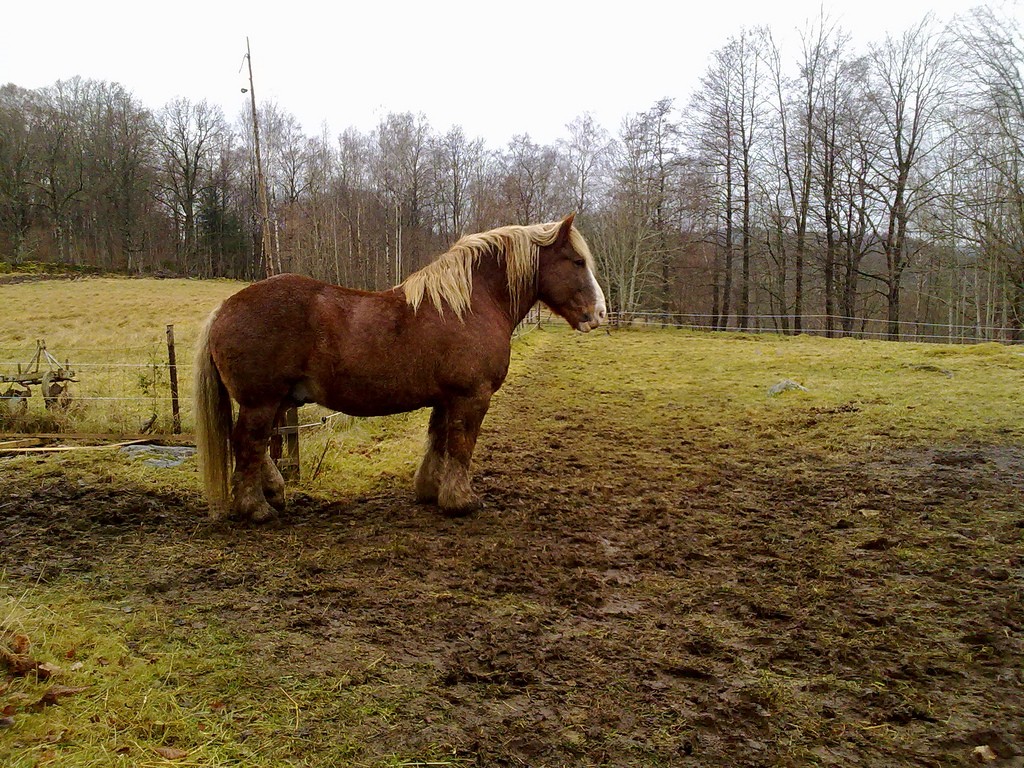 Swedish Ardennes (Swedish Ardennes)