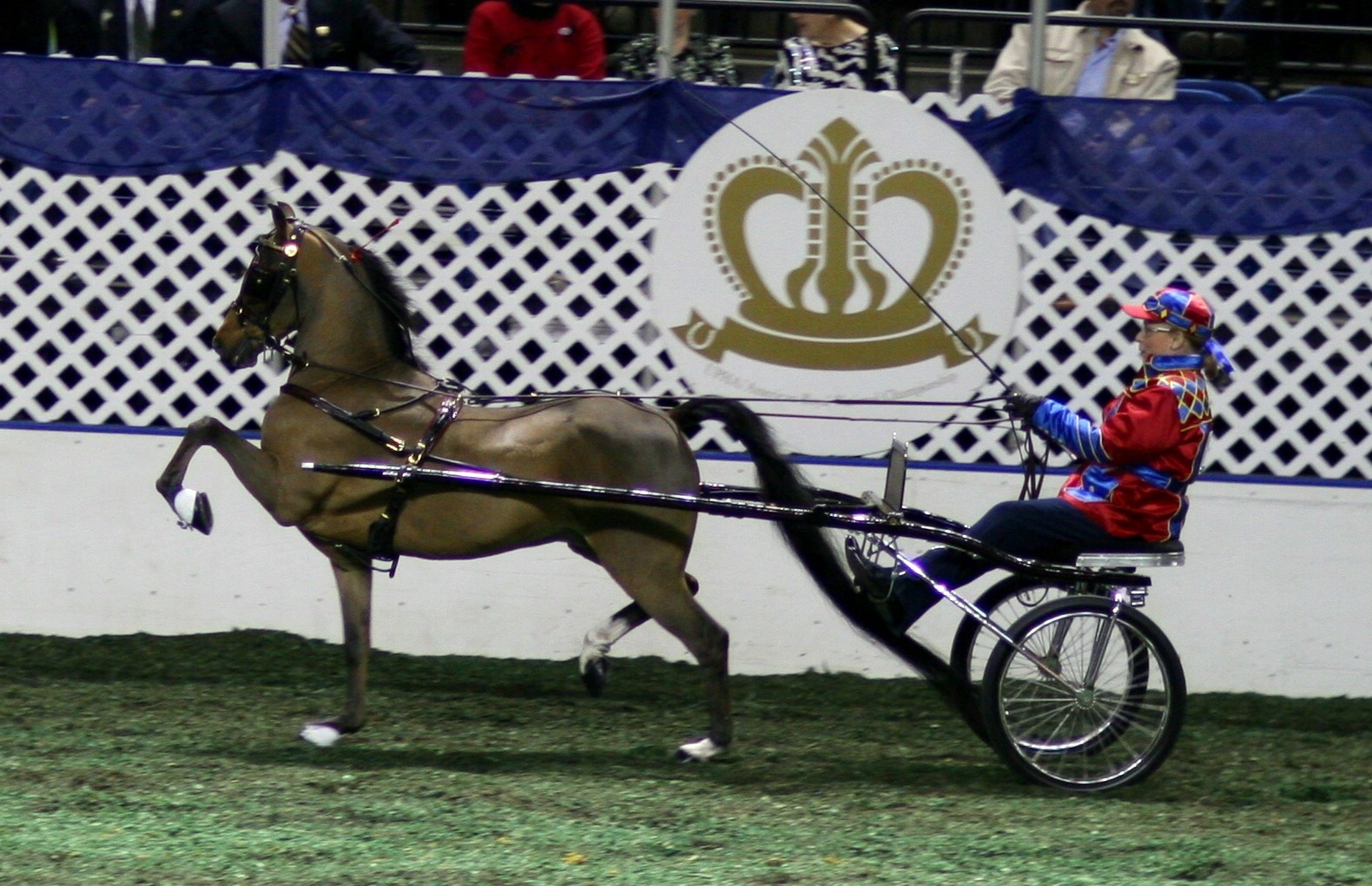 Hackney Pony (Hackney Pony)