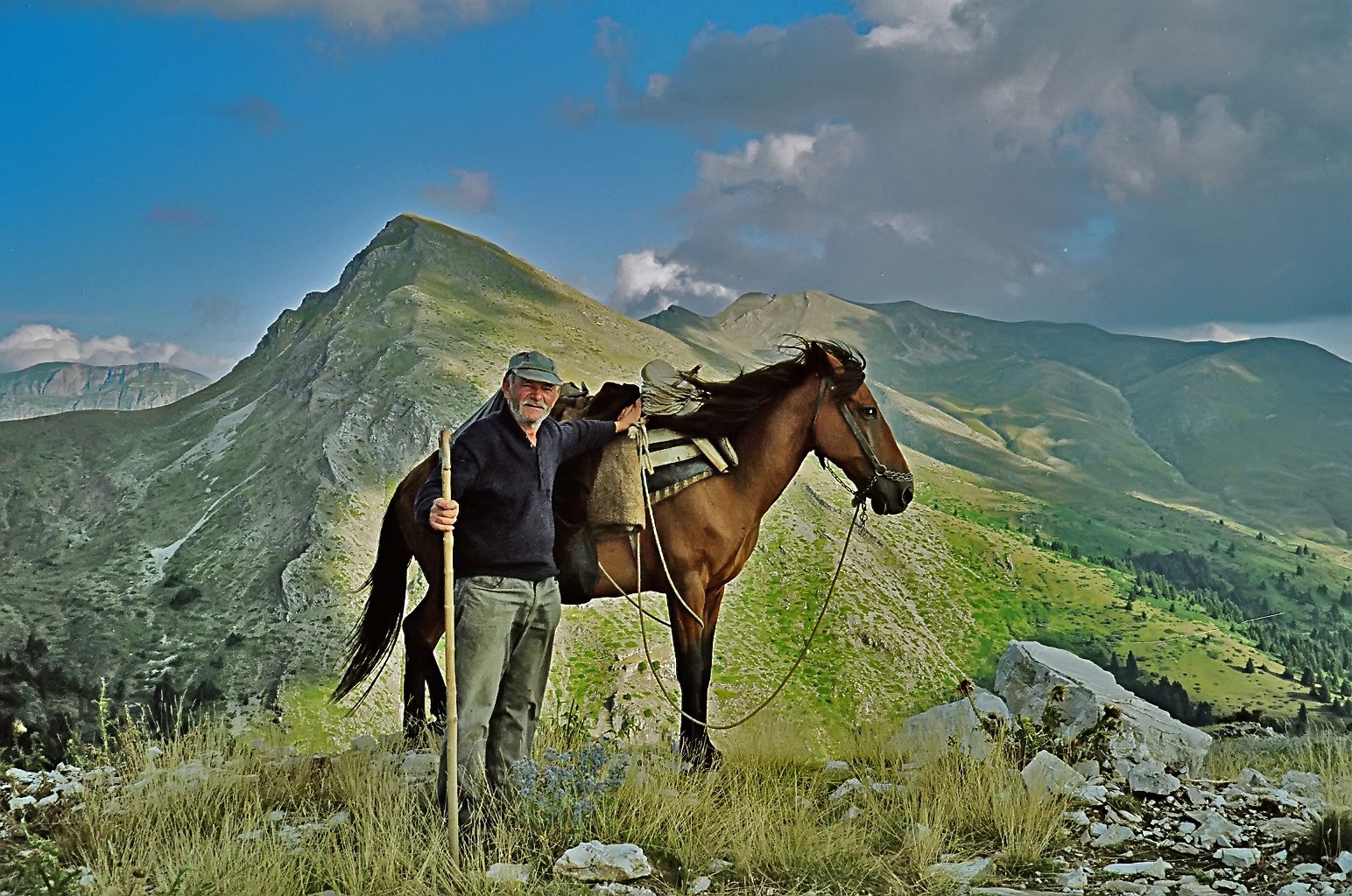 Pindos Pony (Pindos Pony)